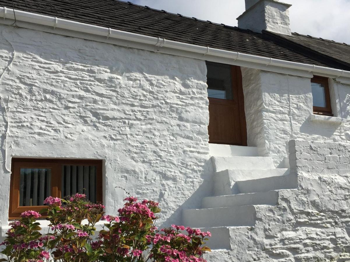 Little Barn Cottage Newport  Extérieur photo